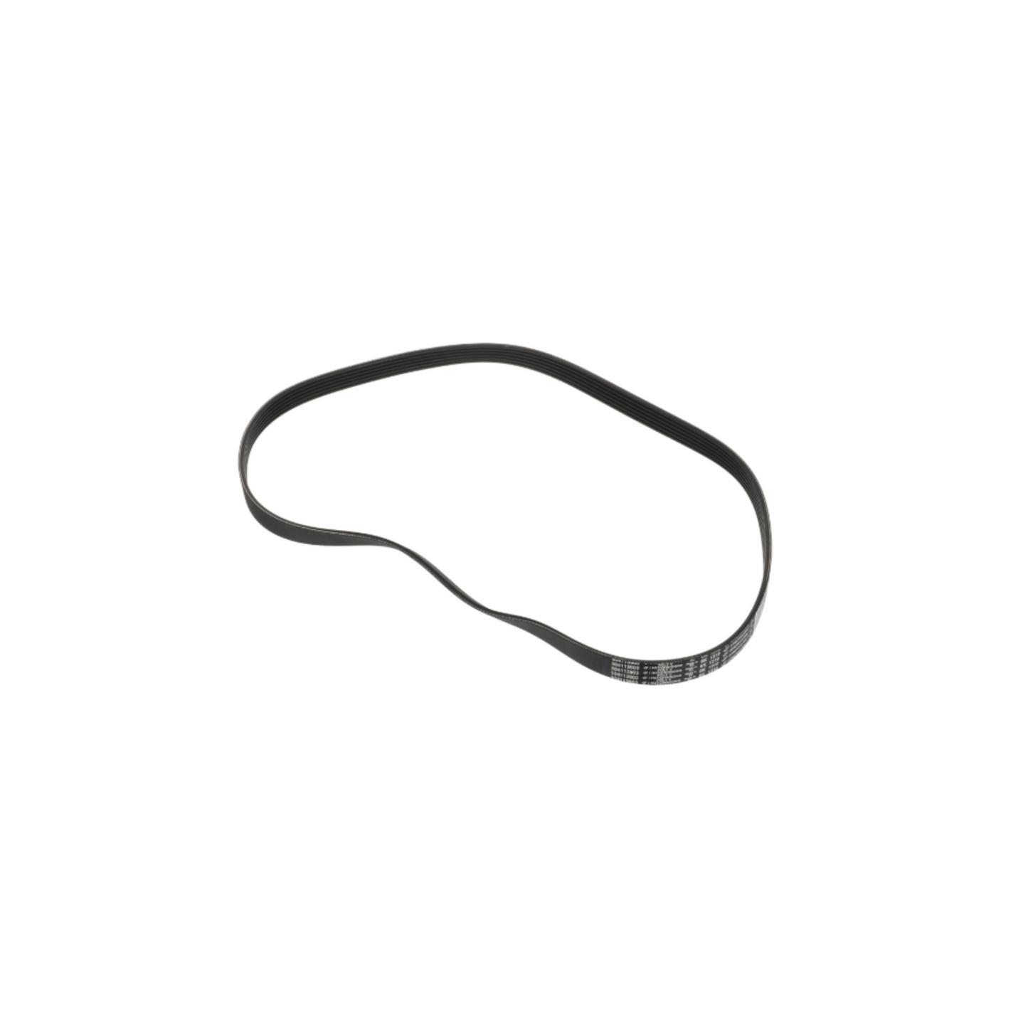 #504113903 Alternator Drive Belt