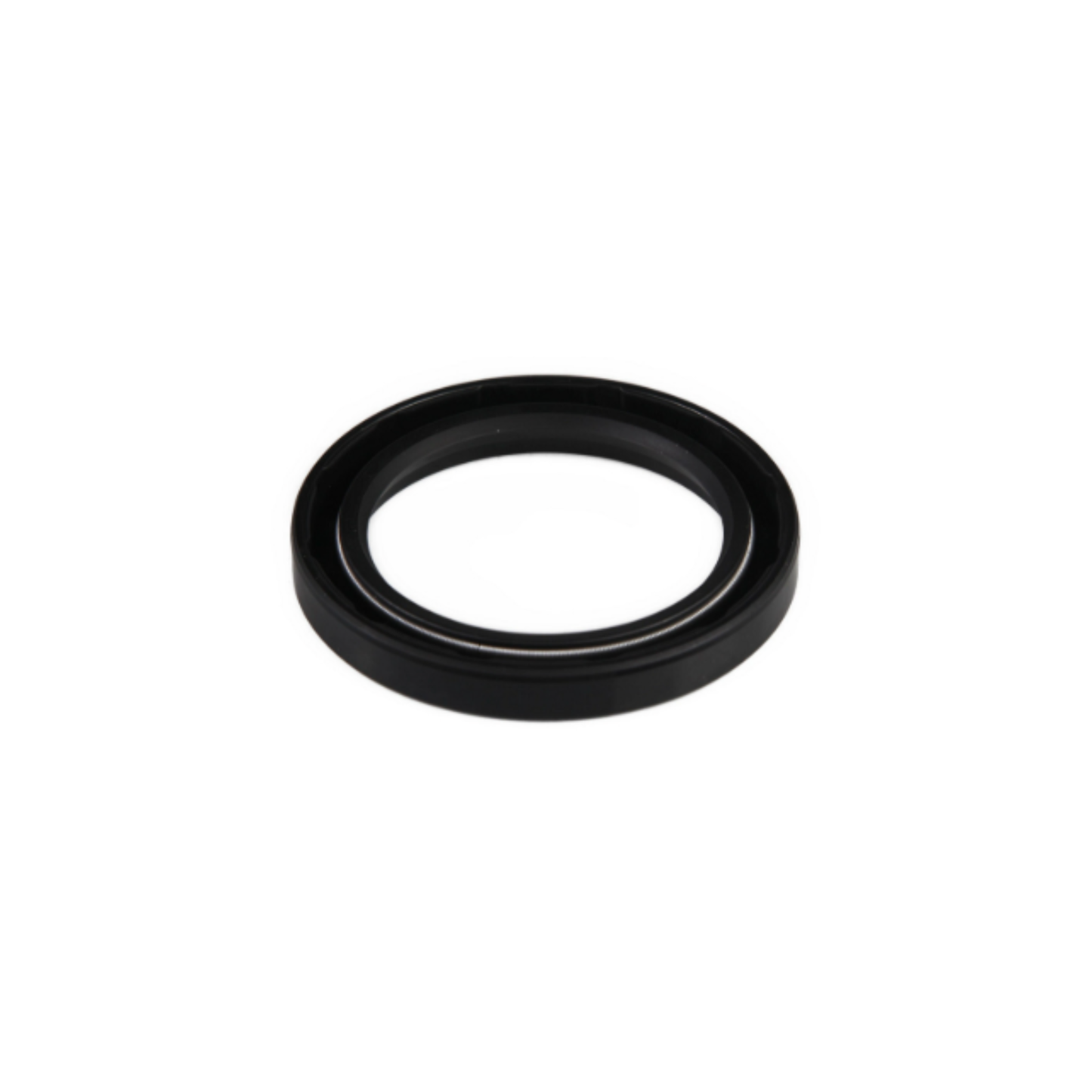 #381860 Oil Seal
