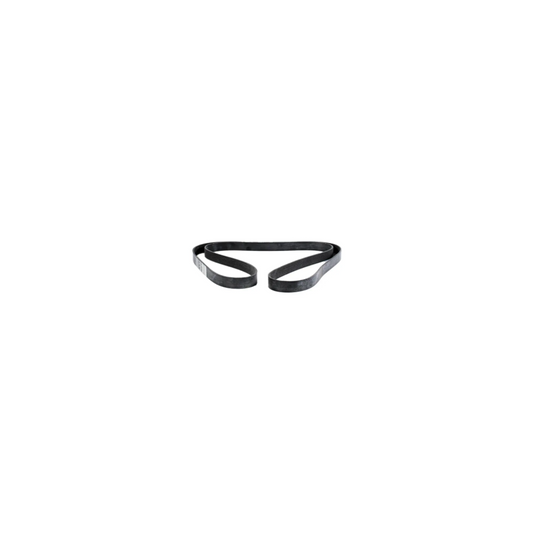 #47637560 Poly-V Belt