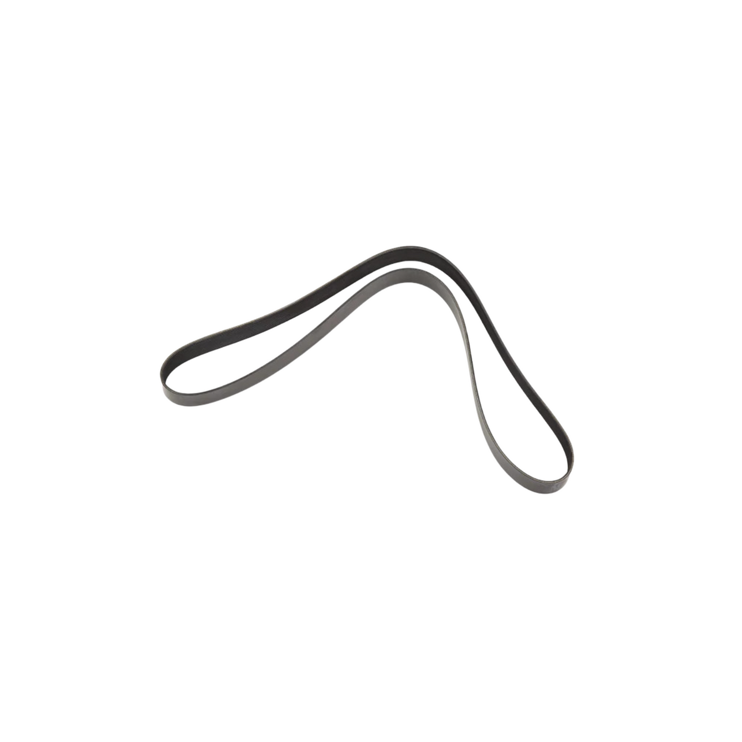 #504049425 Poly-V Belt