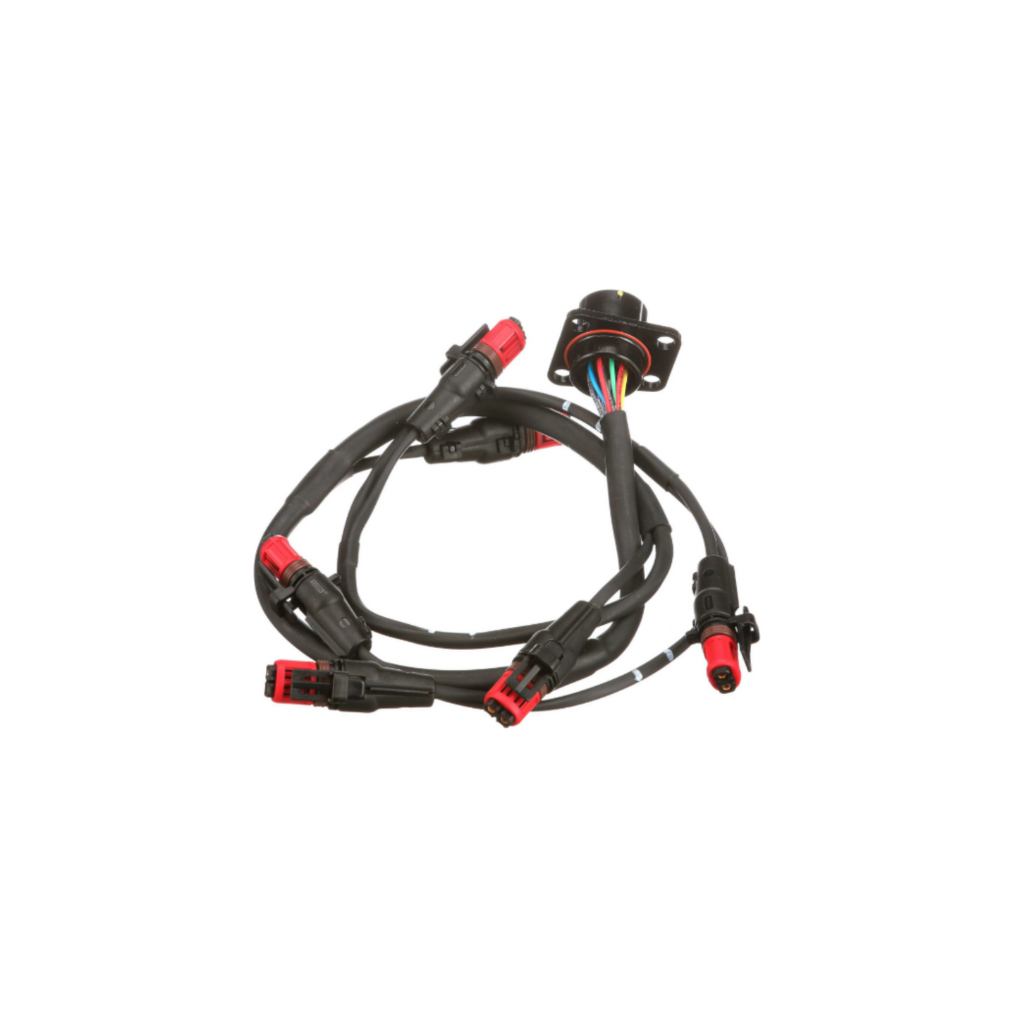 #504149937 Wire Harness