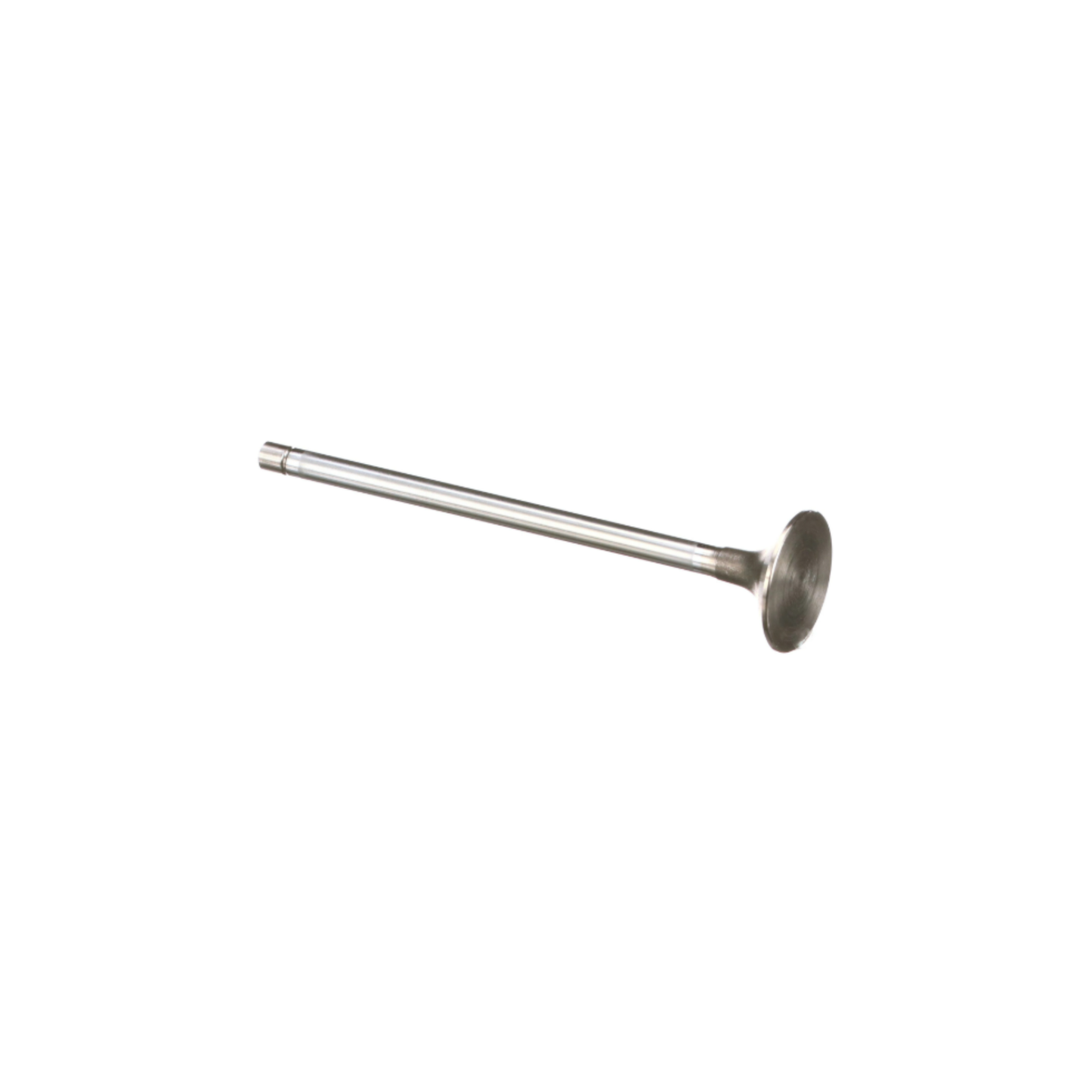 #504293892 Standard Exhaust Valve