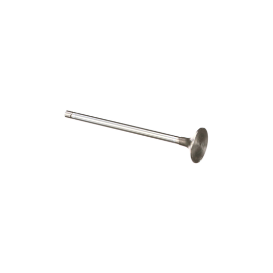 #504293892 Standard Exhaust Valve