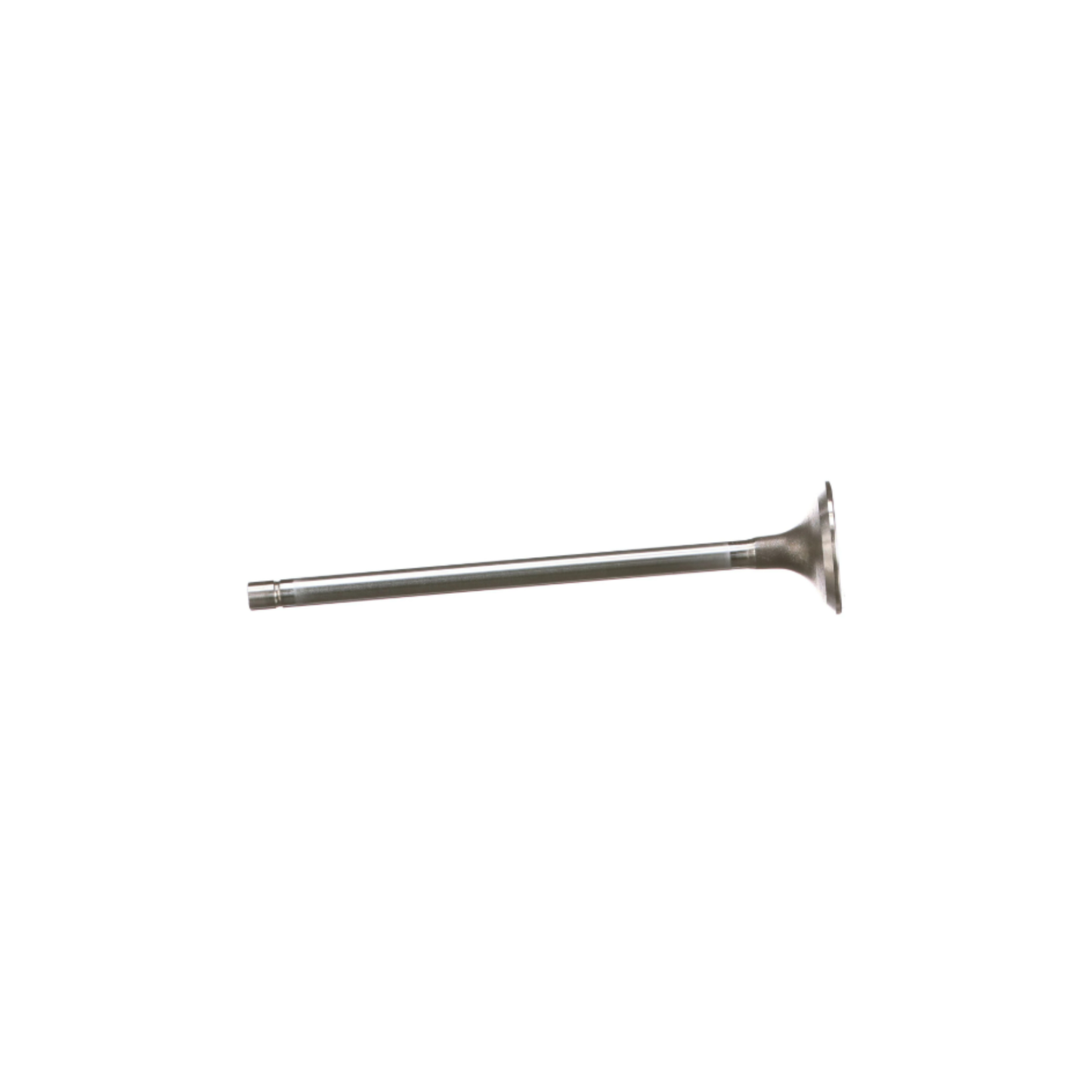 #504293892 Standard Exhaust Valve