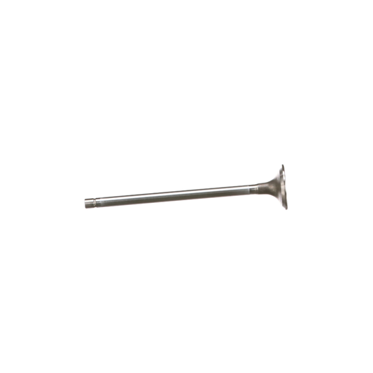 #504293892 Standard Exhaust Valve